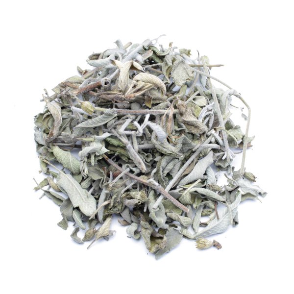 SAGE (SALVIA FRUTICOSA)