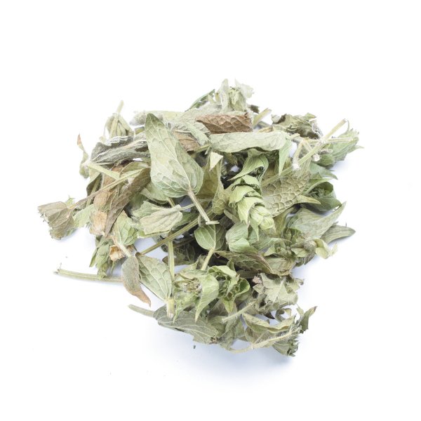 MOUNTAIN TEA (SIDERITIS CURVIDENS)