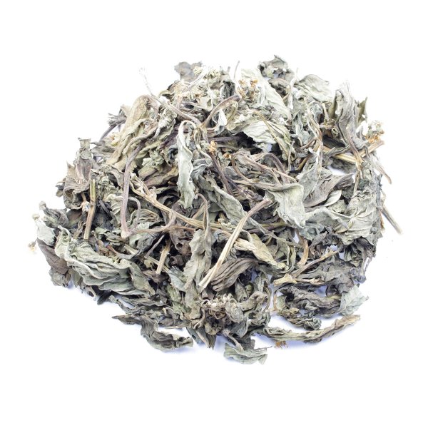 BASIL (OCIMUM BASILLICUM)