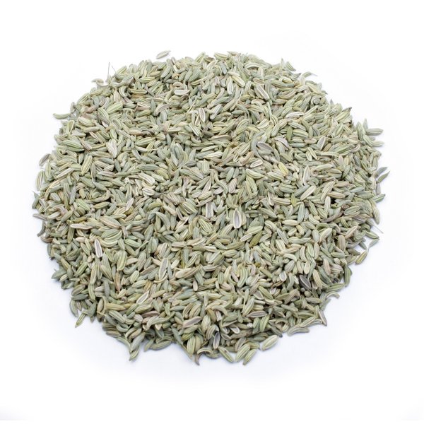 FENNEL (FOENICULUM VULGARIS)