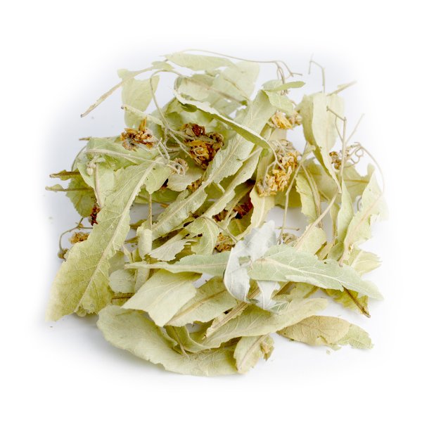 TILIA (TILIA PLATYPHYLLOS)
