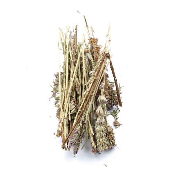 HYSSOP (HYSSOPUS OFFICINALIS)