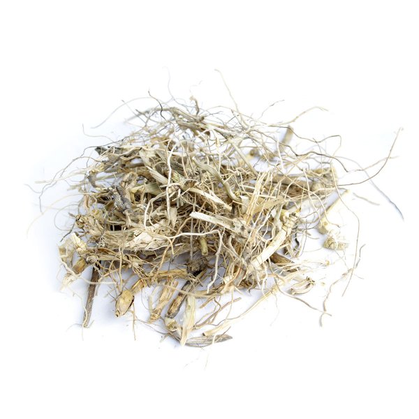 COMMON COUCH (AGROPYRON REPENS) (ROOT)