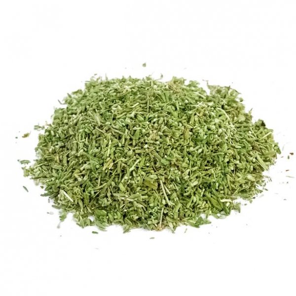 Germander (Teucrium chamaedrys )