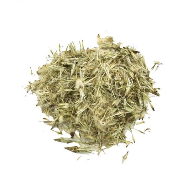 Cretan milk thistle