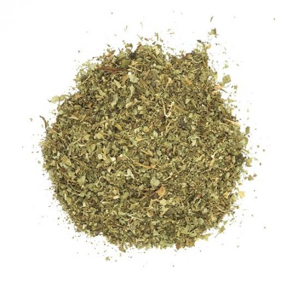 Pilewort