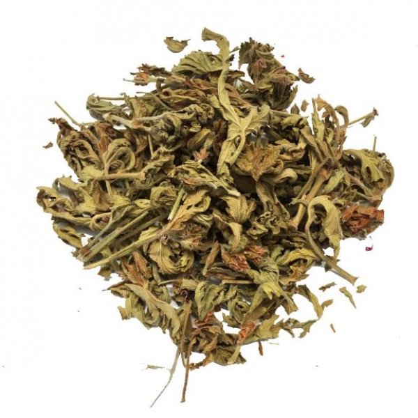 Geranium leaves ( Geranium pelargonium )