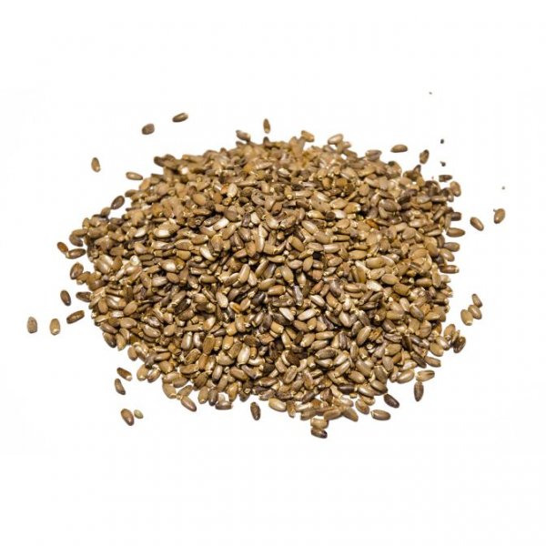 Milk Thistle seeds | Silybum marianum