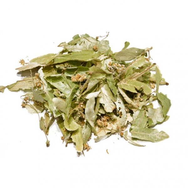 Linden leaves (lime tree)