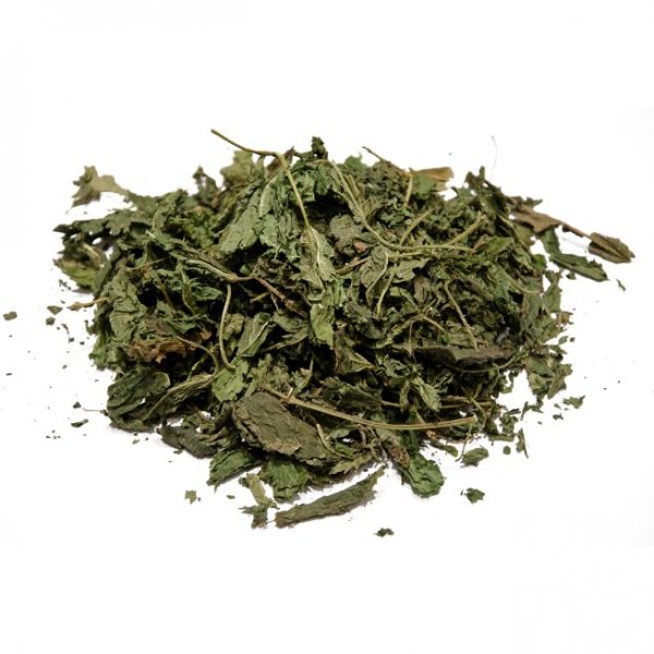 Cretan Stinging nettle