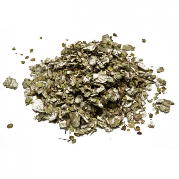 Cretan Organic Dittany (Dictamus folia)