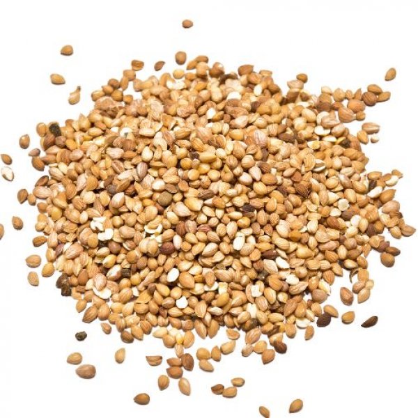 Mahlab seeds