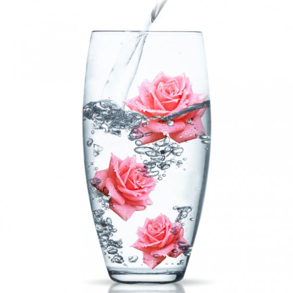 Rose water
