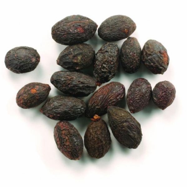 Saw palmetto (serenoa repens)