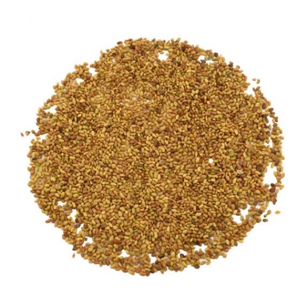 Organic Alfalfa Sprouting Seeds