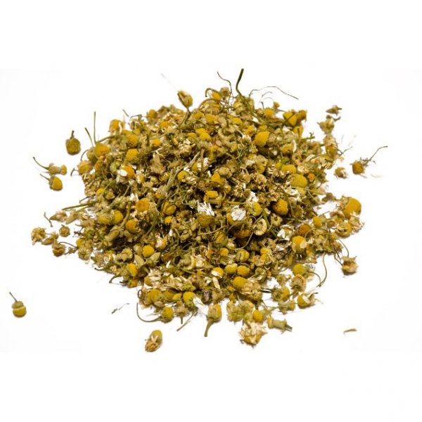Cretan Chamomile