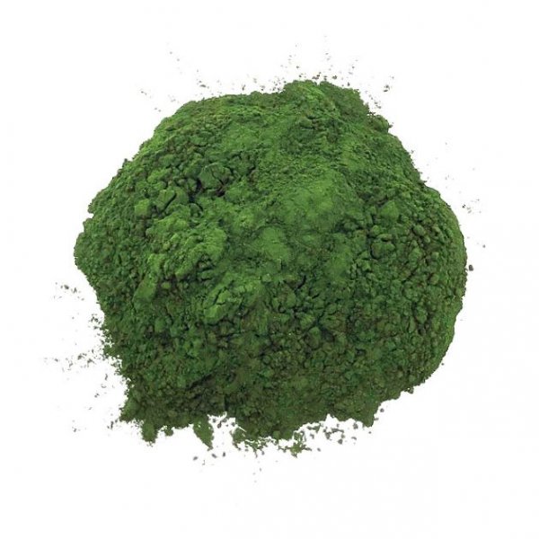 Organic chlorella powder