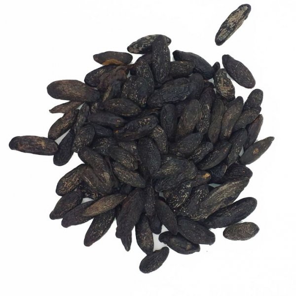 Tonka beans