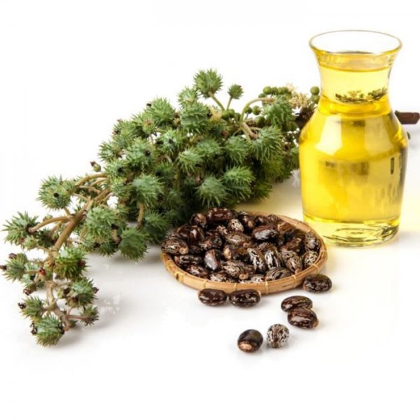 Castor Oil