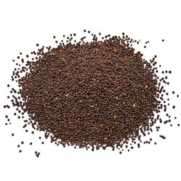 Black mustard seeds