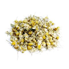 CHAMOMILE (MATRICARIA CHAMOMILLA)