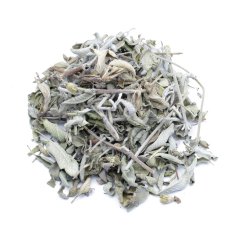 SAGE (SALVIA FRUTICOSA)