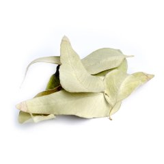 EUCALYPTUS (FOR EXTERNAL USE ONLY) (EUCALYPTUS GLOBULUS /TORGUATA)