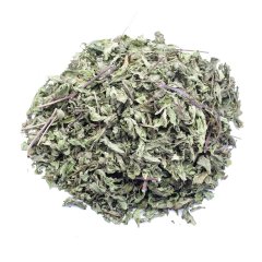 MINT (MENTHA VIRIDIS)