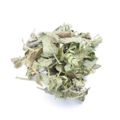 MOUNTAIN TEA (SIDERITIS CURVIDENS)