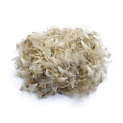 BLESSED THISTLE / MILK THISTLE (ONOPORDUM CYPRIUM)