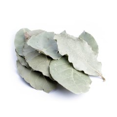 BAY (LAURUS NOBILIS) (LEAVES)