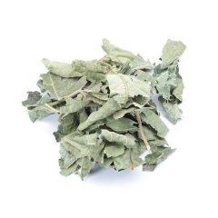 FIG TREE (FICUS COMMUNIS) (LEAVES)