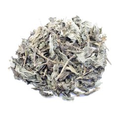 BASIL (OCIMUM BASILLICUM)