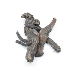COMFREY (SYMPHYTUM OFFICINALIS) (ROOT)