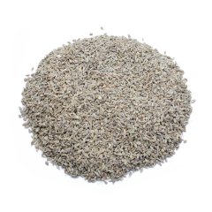 ANISE (PIMPINELLA ANISUM)