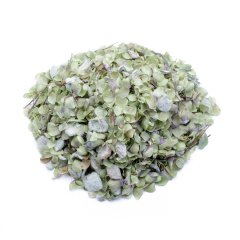 HOP MARJORAM (ORIGANUM DICTAMNUS)