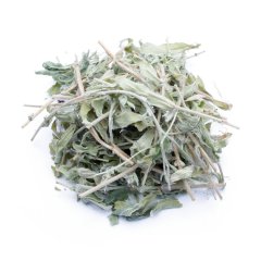 WILLOWHERB (EPILOBIUM PARVIFLORUM)