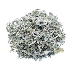 WILD PEPPERMINT