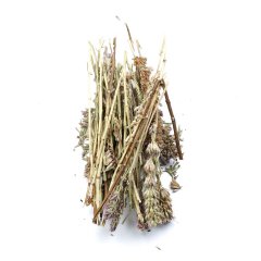 HYSSOP (HYSSOPUS OFFICINALIS)