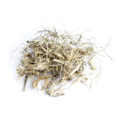COMMON COUCH (AGROPYRON REPENS) (ROOT)