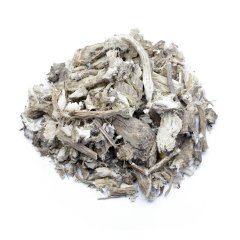 MARSH-MALLOW (ALTHAEA OFFICINALIS)