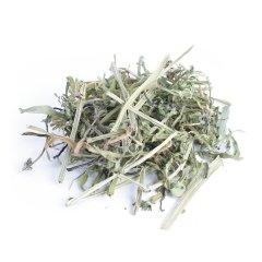 CLEAVERS (GALIUM APARINE)