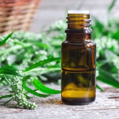 Ginkgo biloba tincture