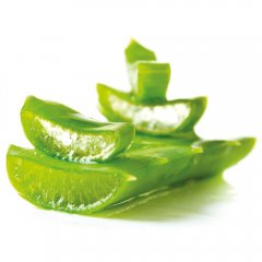 Aloe Vera spray for Face, Skin & Hair (100ml)