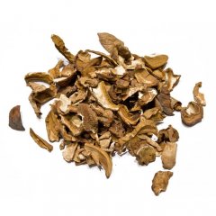 Porcini Mushrooms