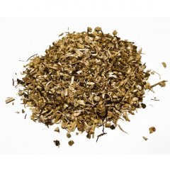 Echinacea ( Echinacea Purpurea )