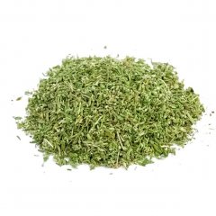 Germander (Teucrium chamaedrys )