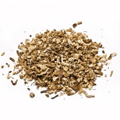 Organic Angelica root (Archangelica officinalis)