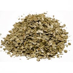 Ladies mantle ( Alchemilla vulgaris )