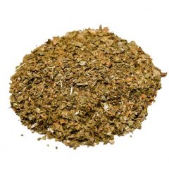 Witch hazel leaves ( Hamamelis virginiana )